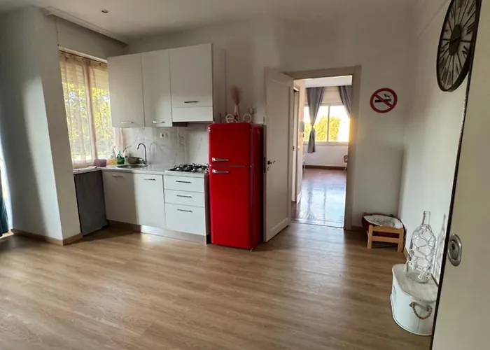 Casa Vichy 公寓 罗马